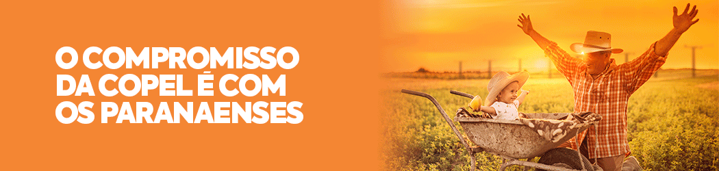 BANNER COPEL PI 93652 - MOTIVO 03