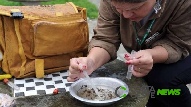 Paraná está em alerta com aumento de casos de dengue