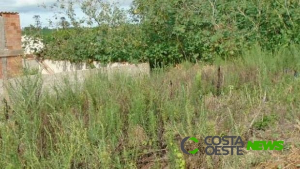 Após seis dias desaparecido idoso é encontrado morto em matagal