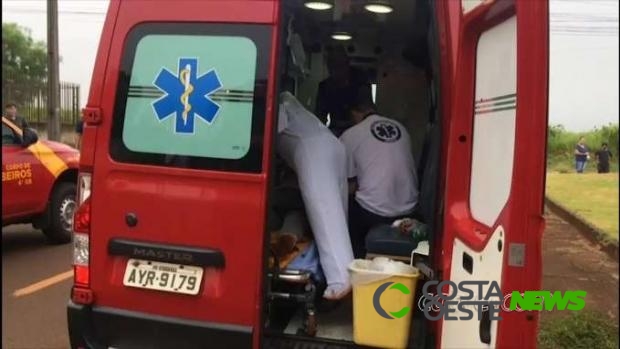 Região: Mulher leva mais de mil picadas após ser atacada por abelhas