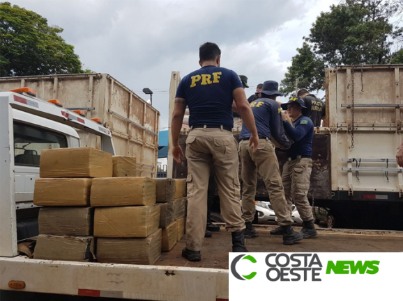 51 toneladas de drogas foram apreendidas no Paraná em 2018