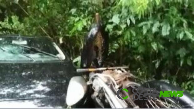 Homem morre em acidente envolvendo motocicleta e carro na PR 281