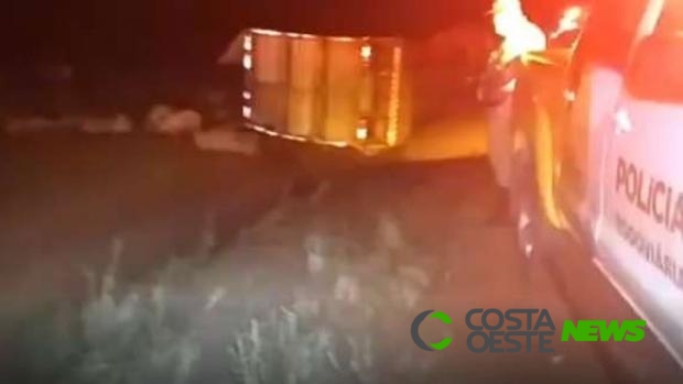 Condutor morre ao tombar caminhão carregado com porcos na PR 151 