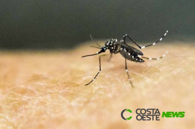 Região Oeste do Estado tem municípios em estado de atenção contra a dengue