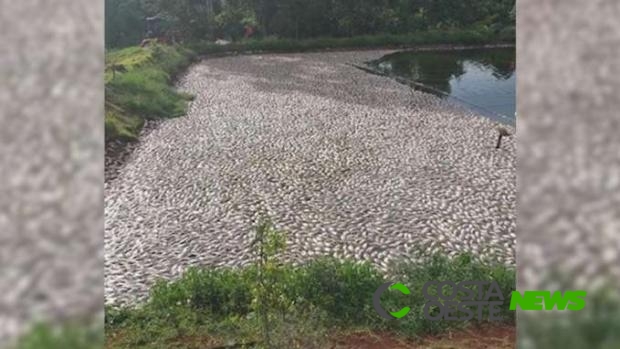 Falta de energia em tanque mata 50 toneladas de peixes na região