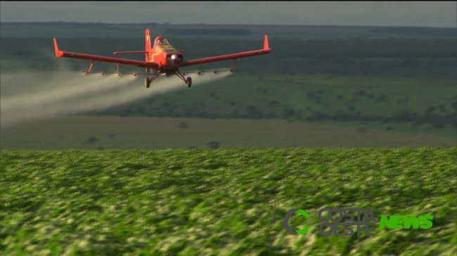 Justiça determina manutenção de norma que restringe o uso de agrotóxicos no Paraná