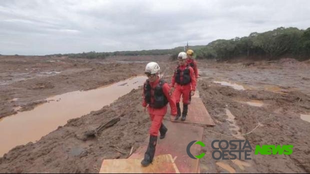 Bombeiros paranaenses mantêm apoio na busca por vítimas em Brumadinho