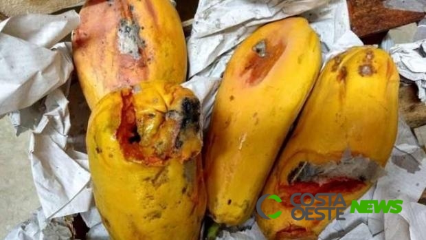 Pais criticam entrega de frutas e legumes estragados em Cmei de Cascavel