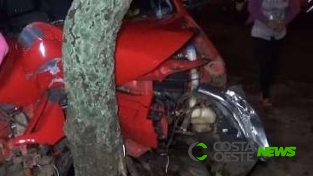 Motorista perde controle da direção e bate em árvore