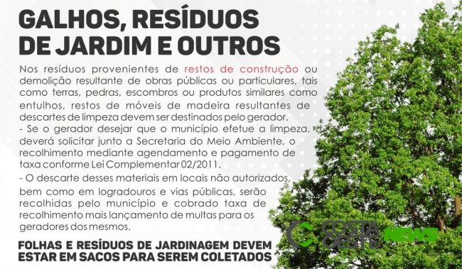 Munícipes devem seguir cronograma de recolha de galhos e folhas