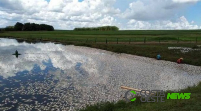 Falta de energia elétrica causa morte de 30 mil quilos de peixe e deixa prejuízo de R$ 160 mil