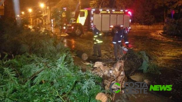 Ventos chegam a 82km/h na região e deixam estragos