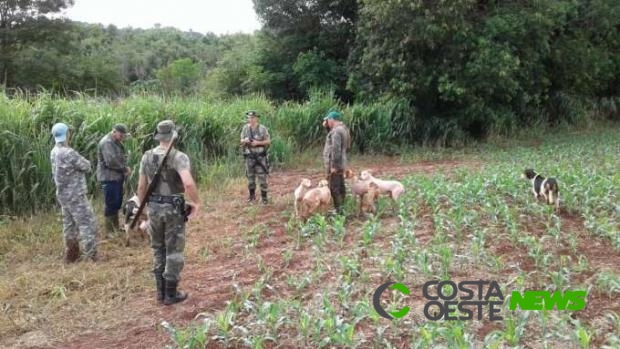 Região: Quatro homens flagrados caçando são encaminhados para a delegacia 