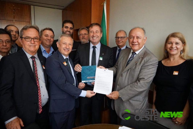 Schiavinato apresenta projeto em que prefeituras tenham engenheiros civis para captar recursos federais