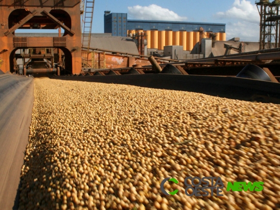 Trégua comercial entre China e EUA pode gerar perda bilionária para soja brasileira