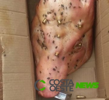 Moradora recebe caixa com cabeça de porco crivada de balas e com cadeado na boca