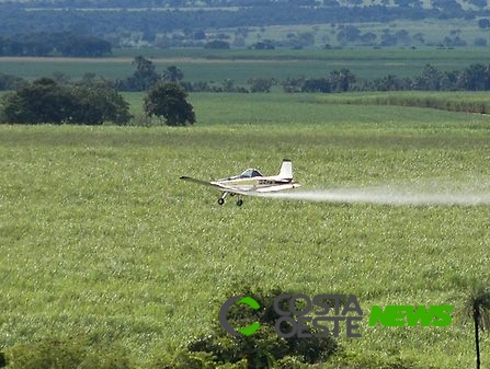 Anvisa reavalia glifosato e descarta risco de câncer pelo consumo de alimentos