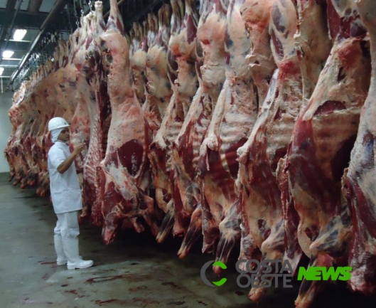 Coreia do Sul habilita mais nove estabelecimentos brasileiros de exportação de carnes