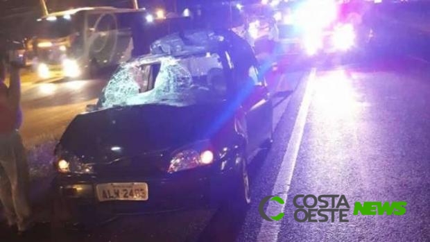 Idosa morre após ser atropelada na BR 277 