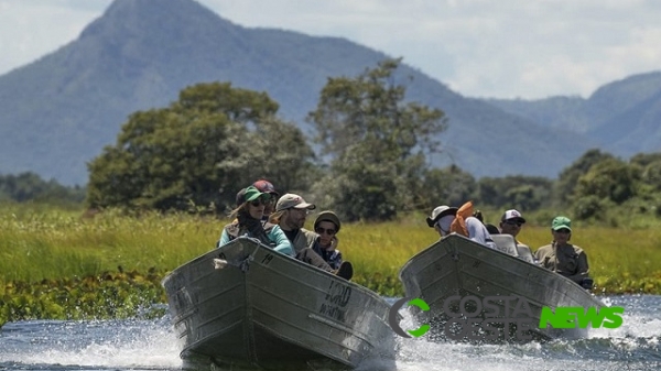 UFPR participa de expedição que pode resultar em antibióticos para tratar o câncer