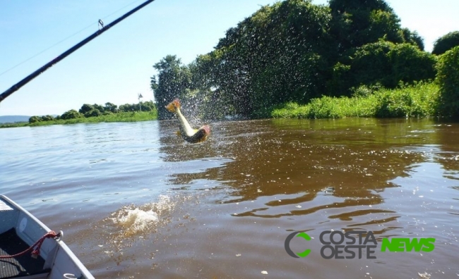 Após análises da água e dos peixes, IAP libera a pesca no Rio Piquiri 