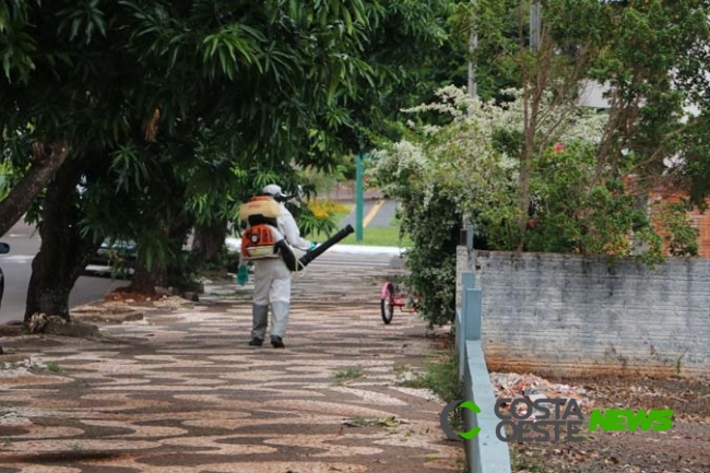 Novo LIRAa aponta redução no índice de infestação por Aedes aegypti em Santa Helena