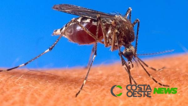 Mais duas mortes por dengue são confirmadas no Estado