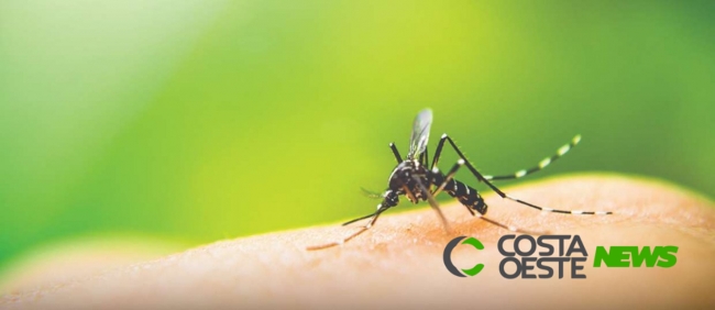 Alerta: Santa Helena tem 17 casos de dengue confirmados