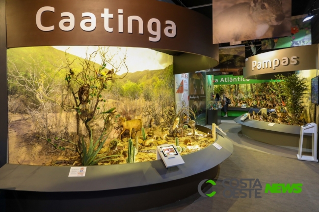 Itaipu Natureza faz promoção em abril e reduz ingresso pela metade