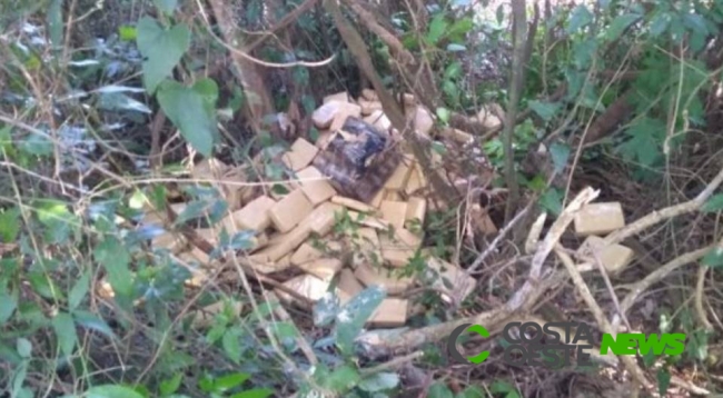 São Miguel: PM apreende 300kg de maconha no meio do mato