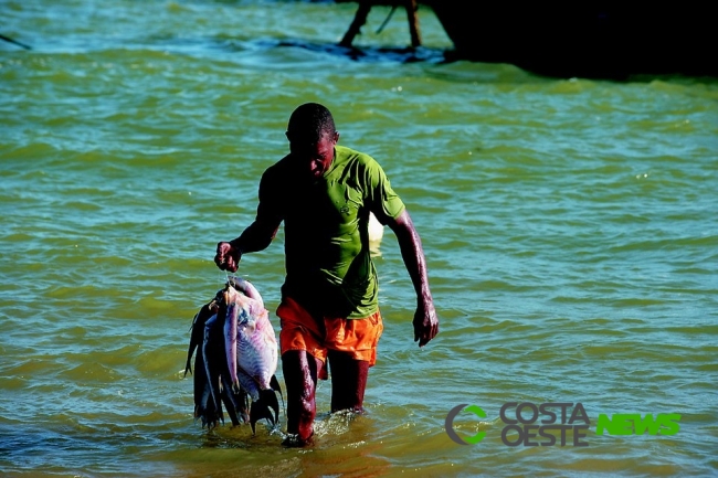 Pesca: 65% dos cadastros realizados para receber o seguro defeso foram fraudados