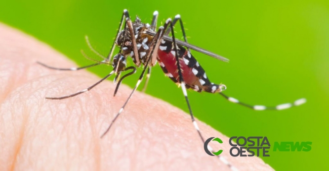Medianeira lidera casos de dengue na Microrregião; Missal aparece em segundo 
