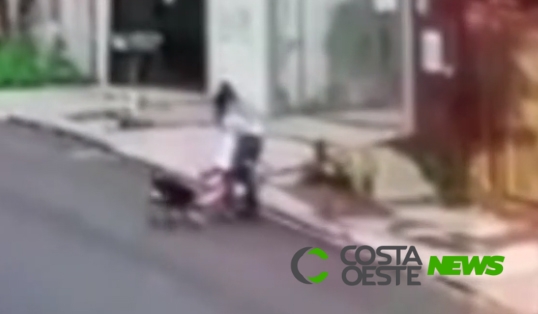 Vídeo flagra criança sendo atacada por cachorro