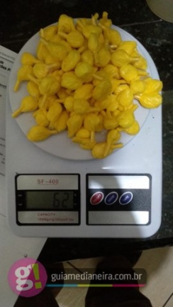 PM apreende buchas de cocaína na Vila Alegria