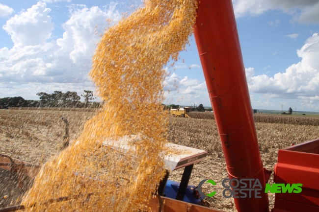 Safra de grãos do PR poderá chegar a 37 milhões de toneladas