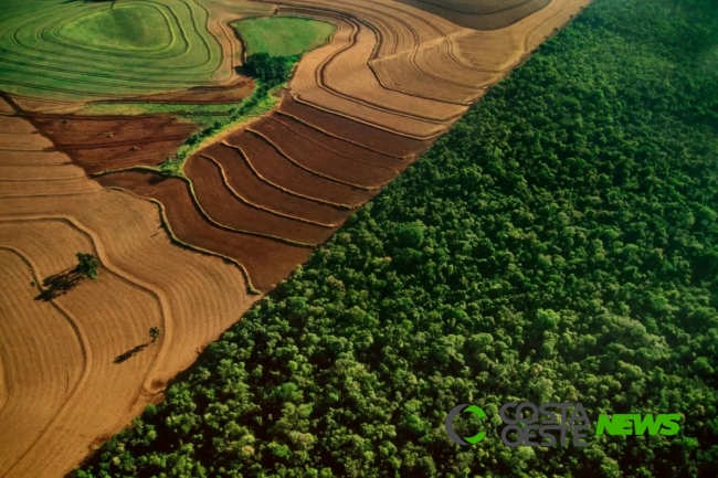 Polícia Ambiental orienta como população deve proceder com animais e vegetação beira Parque