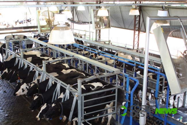 Dispositivo desenvolvido na região pretende ajudar produtores no combate à adulteração do leite