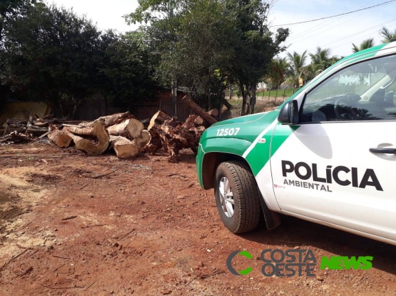 Polícia Militar ambiental apreende madeira e multa 