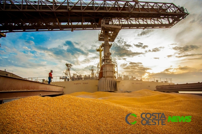 Exportações de milho já superam todo o ano de 2018