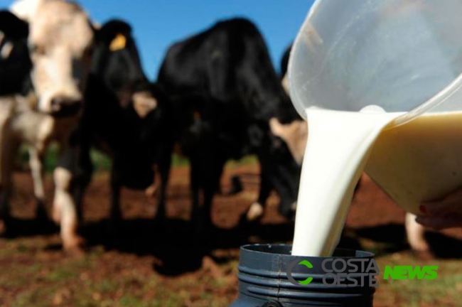 Preço do leite ao produtor se estabiliza em junho