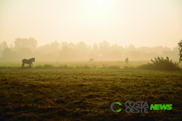 Com El Niño fraco, Paraná terá inverno bem definido