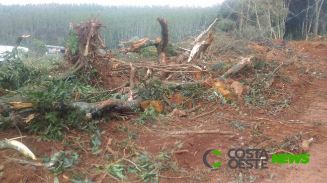 PM Ambiental flagra desmatamento irregular, apreende maquinário e detém quatro pessoas