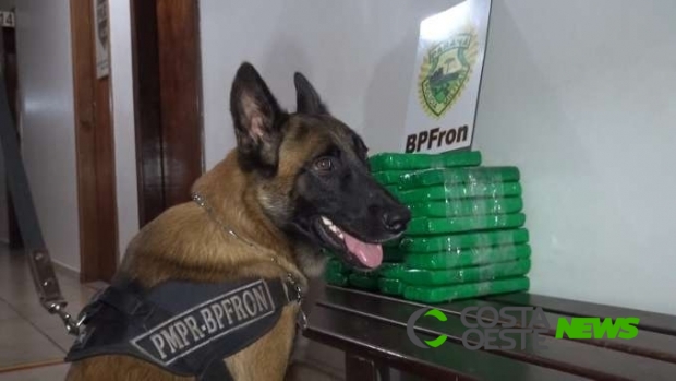 CBKC certifica mais dois cães do BPFron como cães de faro de entorpecente