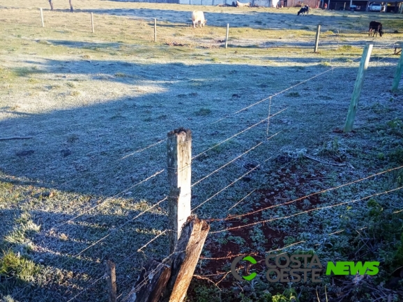 Geada chega com força na Região no dia mais frio do ano: Confira as imagens feitas por internautas   