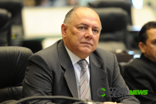 Schiavinato destaca discussões com o Ministério da Agricultura sobre destinação de carcaças
