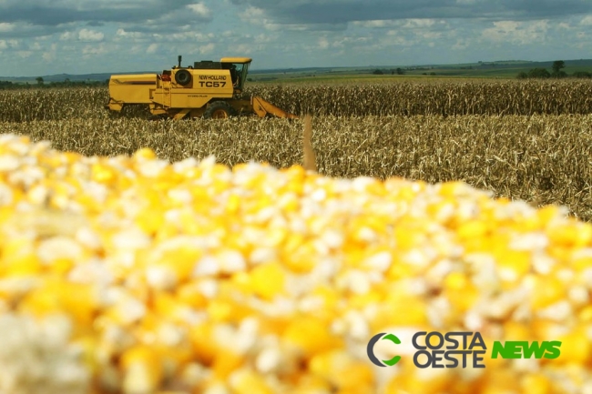 Safra de grãos no Paraná deve ter aumento de 5% e atingir 37 milhões de toneladas