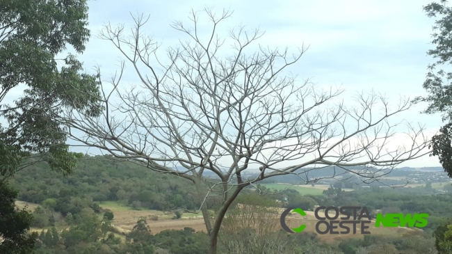 Frente fria avança pelo Sul neste domingo