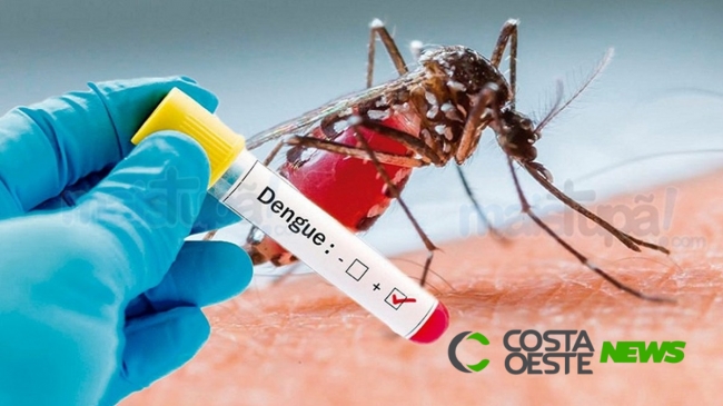 Mesmo no inverno epidemia de dengue já atinge 88 municípios do Paraná