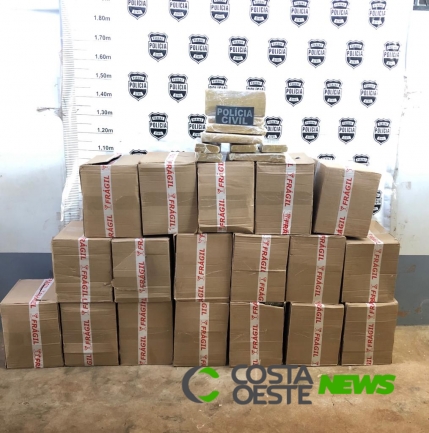Polícia Civil de Santa Helena intercepta meia tonelada de maconha que seria enviada usando transportadora local