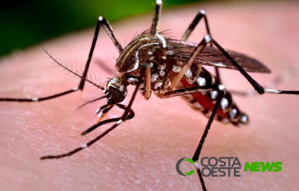 Boletim semanal da dengue confirma morte na região Oeste e mais 2 municípios em epidemia